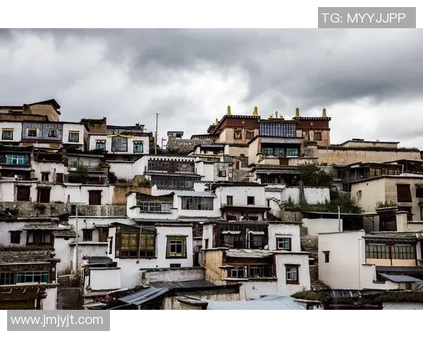 河床与天主教青年之间的信仰碰撞与心灵探索之旅